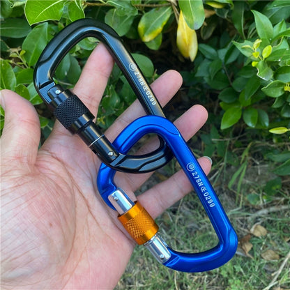 Aluminum Ascent: Climbing D-Lock Carabiner