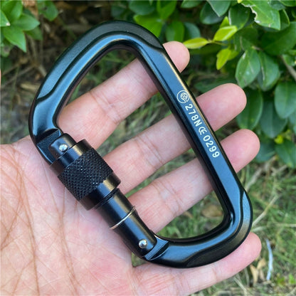 Aluminum Ascent: Climbing D-Lock Carabiner